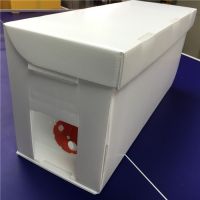 Correx Nucleus Plastic Nuc Box for Beekeeping