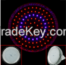 E27 40W Red Garden Light/ LED Plant Grow Lights LED spotlight From China