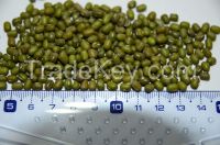 Green Mung Beans