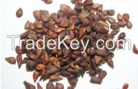 QUINCE SEEDS