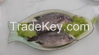 Gutted and scaled tilapia