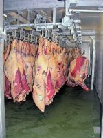 FROZEN HALAL BEEF MEAT CARCASS