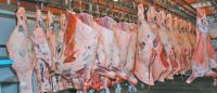 Halal cow meat carcass