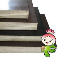 18mm Black Film Faced Plywood