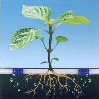 inlay round drip irrigation pipe machinery