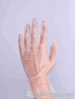 disposable vinyl glove powdered/powdered-free vinyl glove