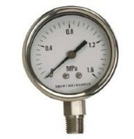 Stainless Steel Pressure Gauge