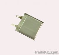 High discharge rate Li-polymer battery