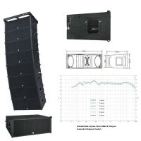 Dual 12" powerful outdoor line array