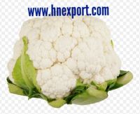 Cauliflower