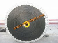 Steel cordconveyor belt