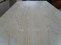 Pine Plywood