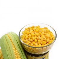 Canned Fresh Sweet Corn 425g In Easy Open Lid Hot Selling Canned Food From China