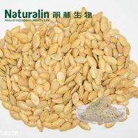 Pumpkin Seed Extract