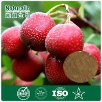 Hawthorn Fruit Powder