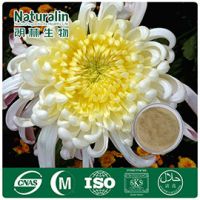 Chrysanthemum Extract