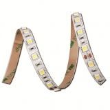 5050 30led/m Strip