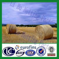 Silage Net Wrap