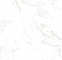 Carrara Tile