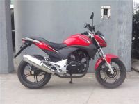 Racing Motorcycle | Racing Bike for Sale | CBR300