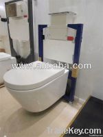 wall hung toilet