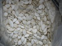 Snow white pumpkin seeds, PUMPKIN SEED GROWN WITHOUT SHELL GRADE,roasted pumpkin seedsE AA