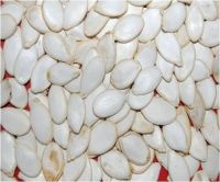 Snow white pumpkin seeds, PUMPKIN SEED GROWN WITHOUT SHELL GRADE,roasted pumpkin seedsE AA From UK