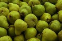 Fresh pears  for sale