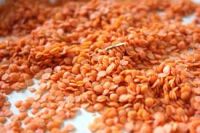 Lentils for sale