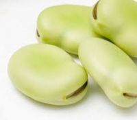 Broad Beans