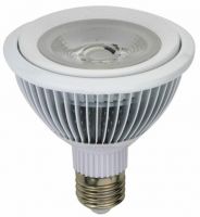 LED Par 20/Par 30/Par38 spotlight supplier From China