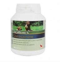 Pet Nutrition 