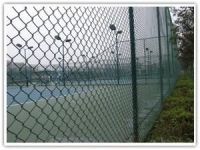 The Dutch weave wire mesh, hook flower woven mesh, conveyer belt From China