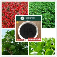 Huminrich Shenyang Organic Humic Acid Powder in Soil Application