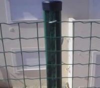 Euro Welded Fence