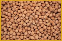 Chick Peas