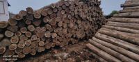 Teak round logs