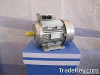 electric motor