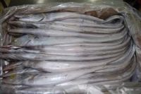 Frozen Ribbon Fish