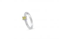 Fancy Diamond Ring 