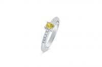 Fancy Diamond Ring 