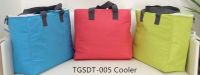 Promotional Cooler bag