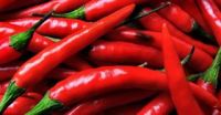 Red Chilies