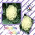 Cauliflower