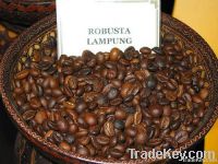 Robusta coffee beans