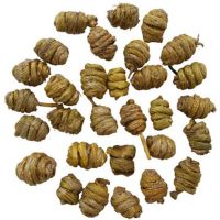 Dendrobium Extract, Manufacturer Direct Supply