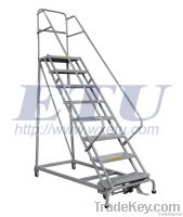 Industrial Steel Rolling Ladders RL series