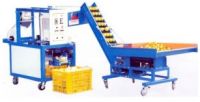 Automatic Fruit Bag-Packing Machine