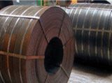 Hot rolled steel products From Pakistan