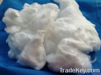 Polyester(PES)fiber